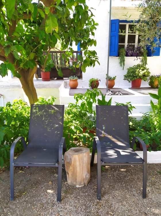 Stamoulis Apartment Kampos Marathokampou