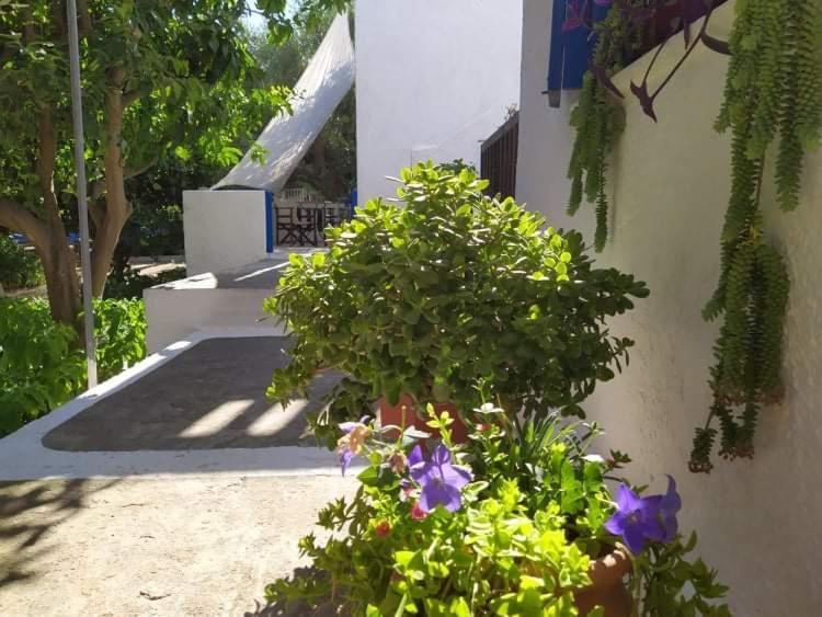 Stamoulis Apartment Kampos Marathokampou