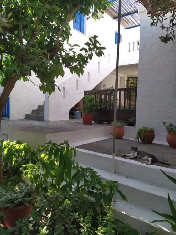Apartment Stamoulis